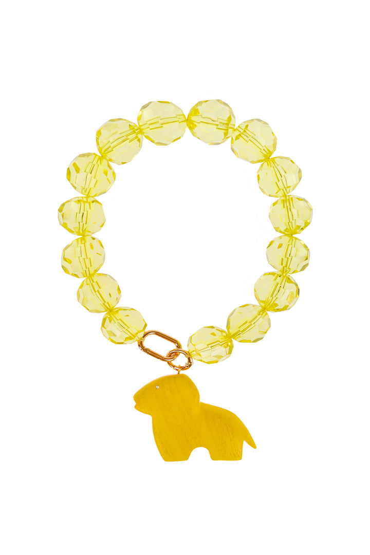 Choose Your Spirit Animal - Aslan Kolye